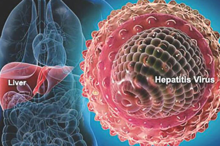 Hepatitis B – Importance of Vaccination