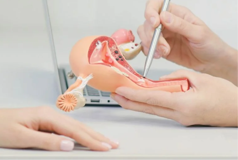 Exploring the Future of Women's Health: Laparoscopic Gynaecology Procedures