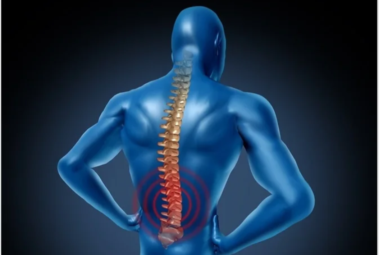 Spinal Muscular Atrophy: From Genes to Therapies