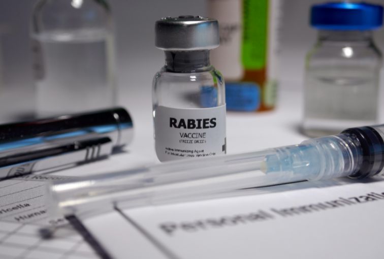 "Rabies: A Fatal but Preventable Disease – Be Informed and Keep Others Informed "