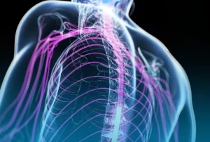 Advancing Multidisciplinary Care for Neuro-Muscular Disorders: The JSS NMD Clinic Initiative